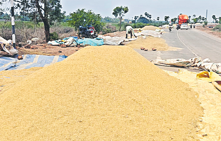dhanyam.jpg
