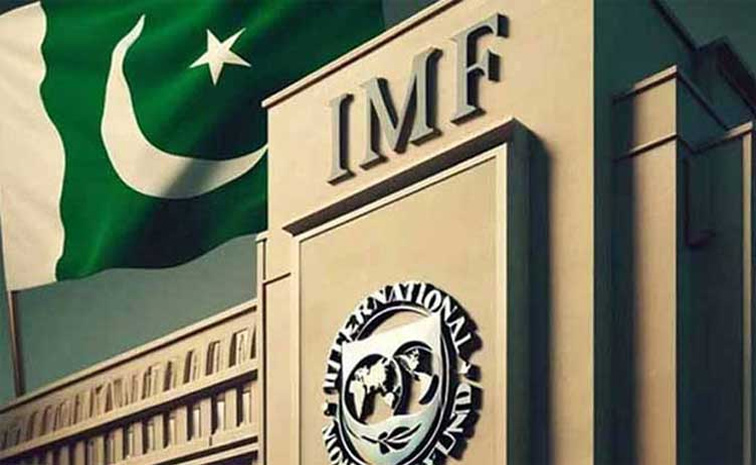 imf.jpg