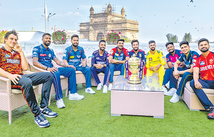 ipl.jpg