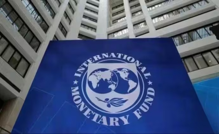 imf.jpg