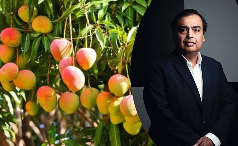 mukesh-ambani.jpg