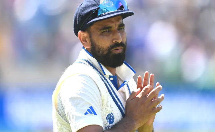 shami.jpg