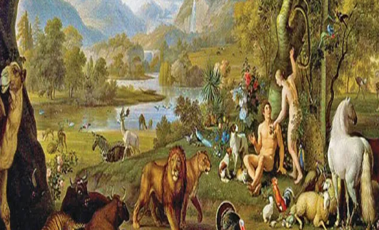 creation.jpg