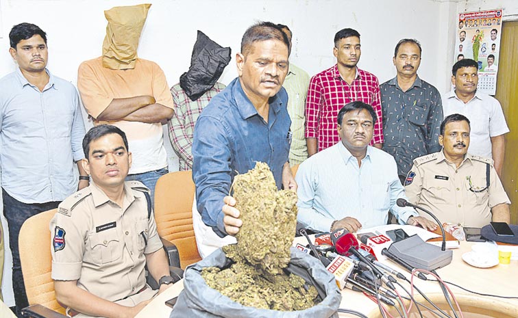drugs-case.jpg