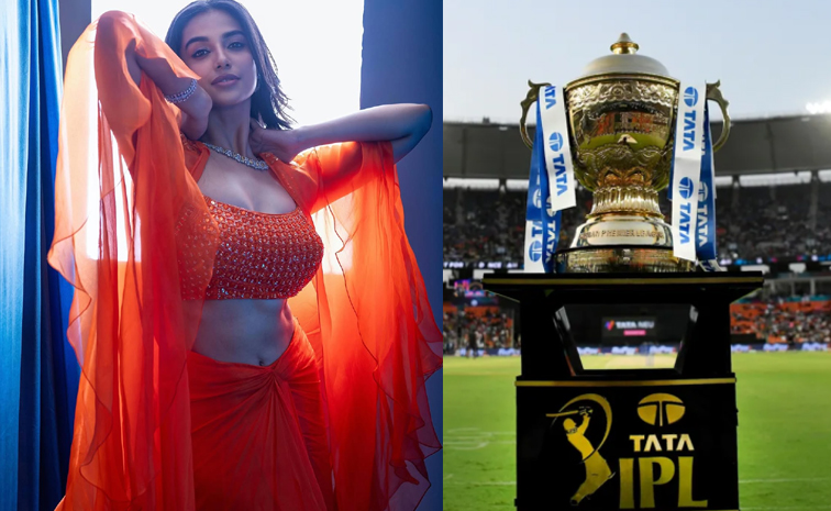 ipl_0.jpg