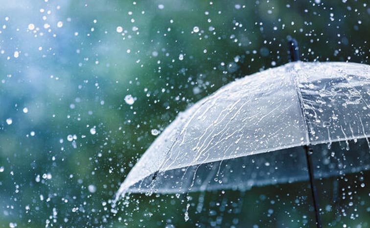 rain33.jpg