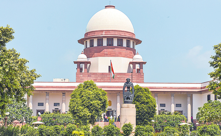 S-COURT258.jpg