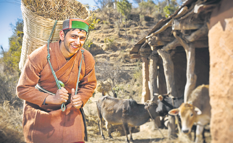 himachal.jpg