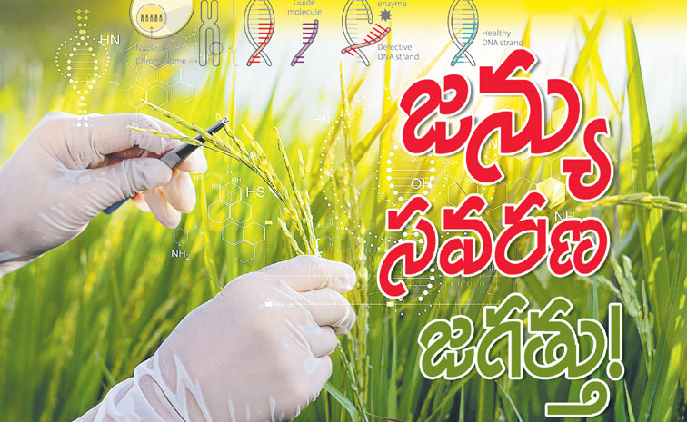 Genome-Editing-Agriculture.jpg