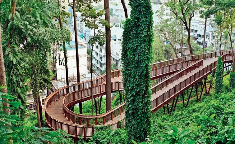 MalabarHillnature_20trailwalkway.jpg