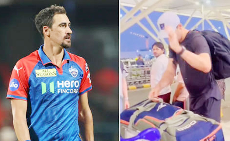 starc.jpg