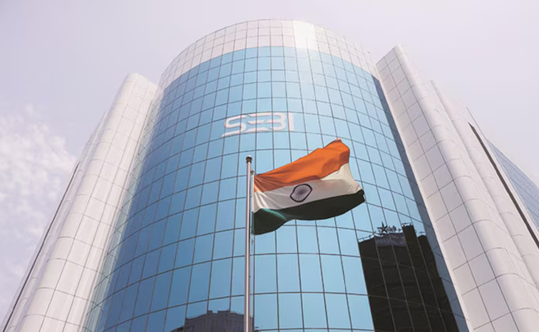 sebi.jpg