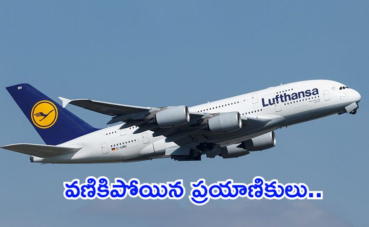 flight.jpg