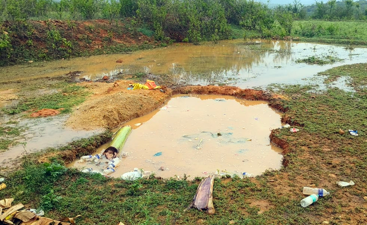 photo.jpg