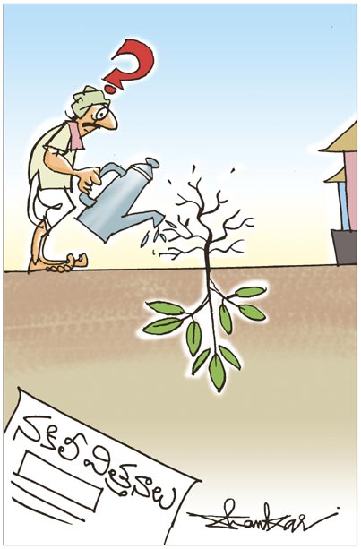 seeds.jpg