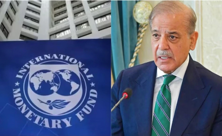 IMF.jpg