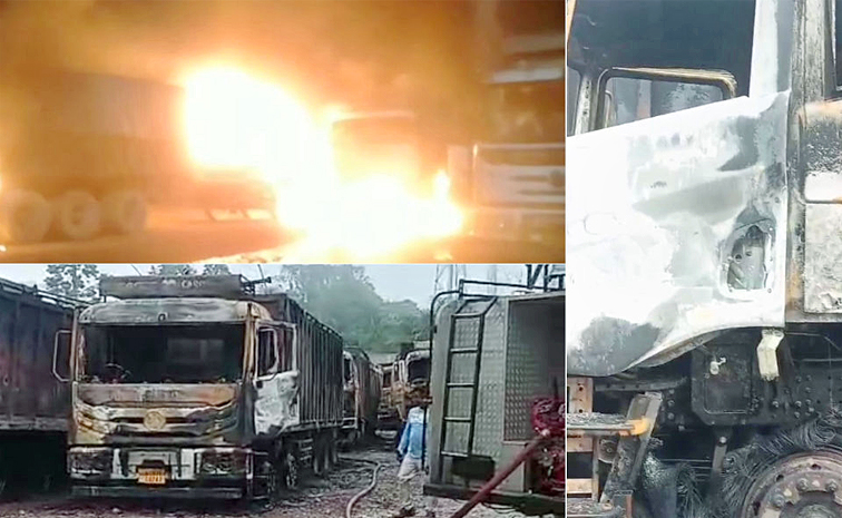 Meghalaya-15-Trucks.jpg