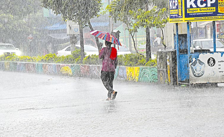 RAIN-1.jpg