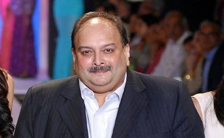 mehul01.jpg