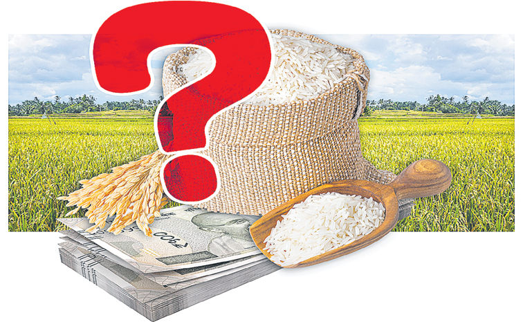 RICE-BONUS--2210001445.jpg