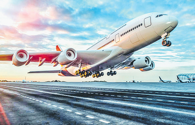 flight.jpg