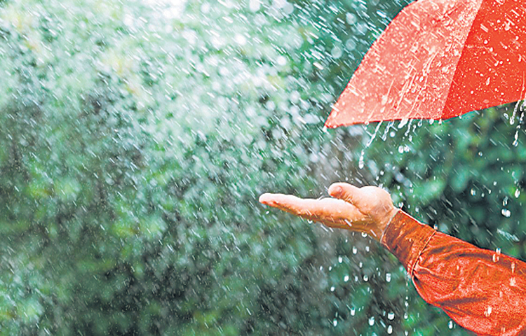 rain.jpg