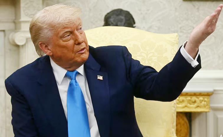Dtrumpp.jpg