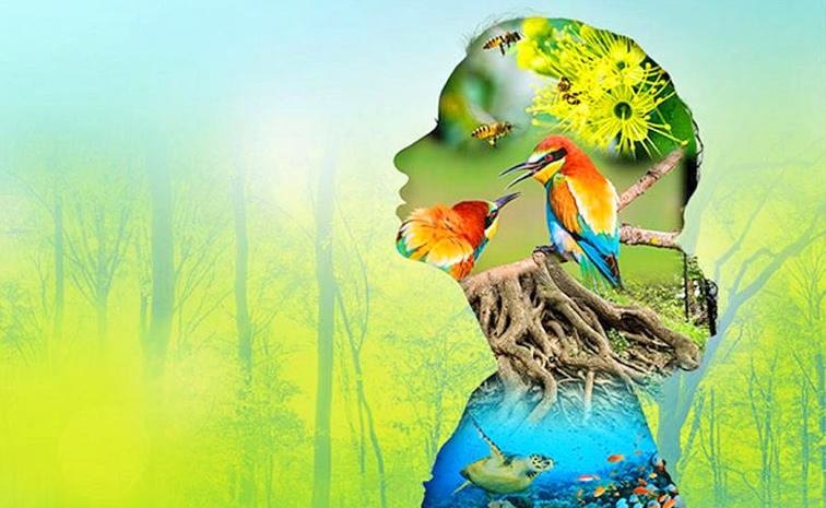 International-Day-for-Biological-Diversity.jpg