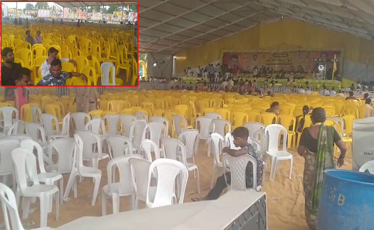 TDP_20Mini_20Mahanadu.jpg