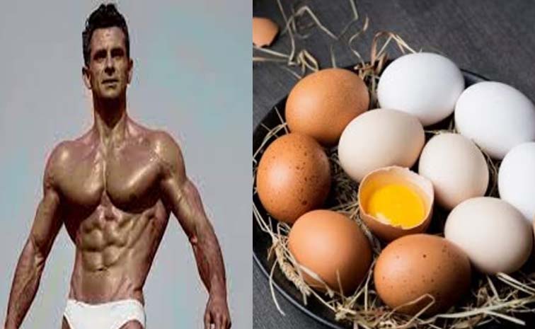 egg3.jpg