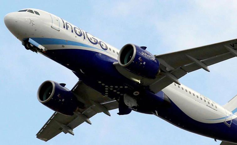 indigo.jpg