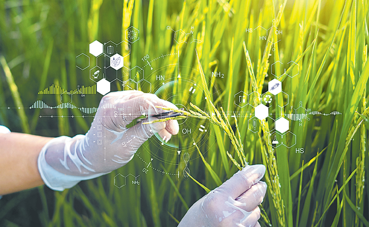 iStock-1327569521.jpg