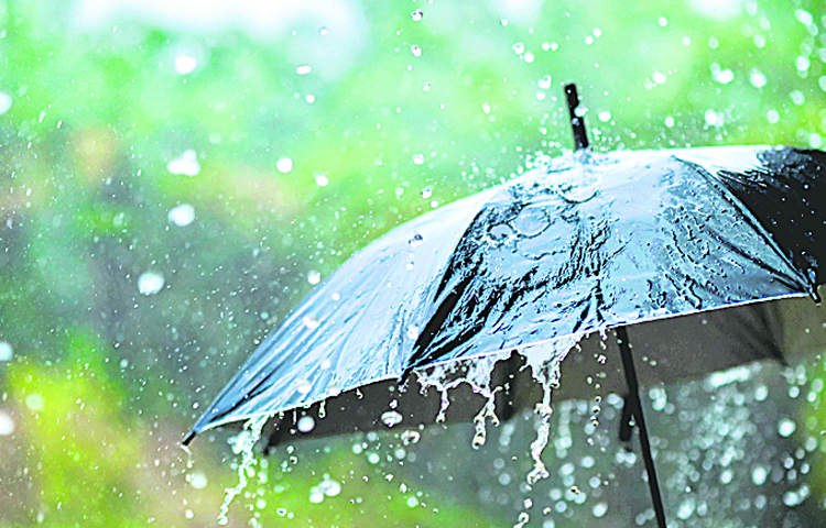 rain.jpg