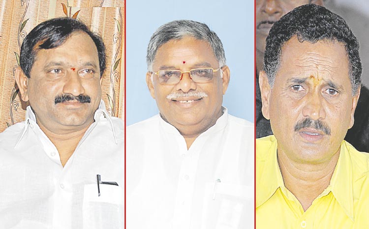 tdp-mlas.jpg