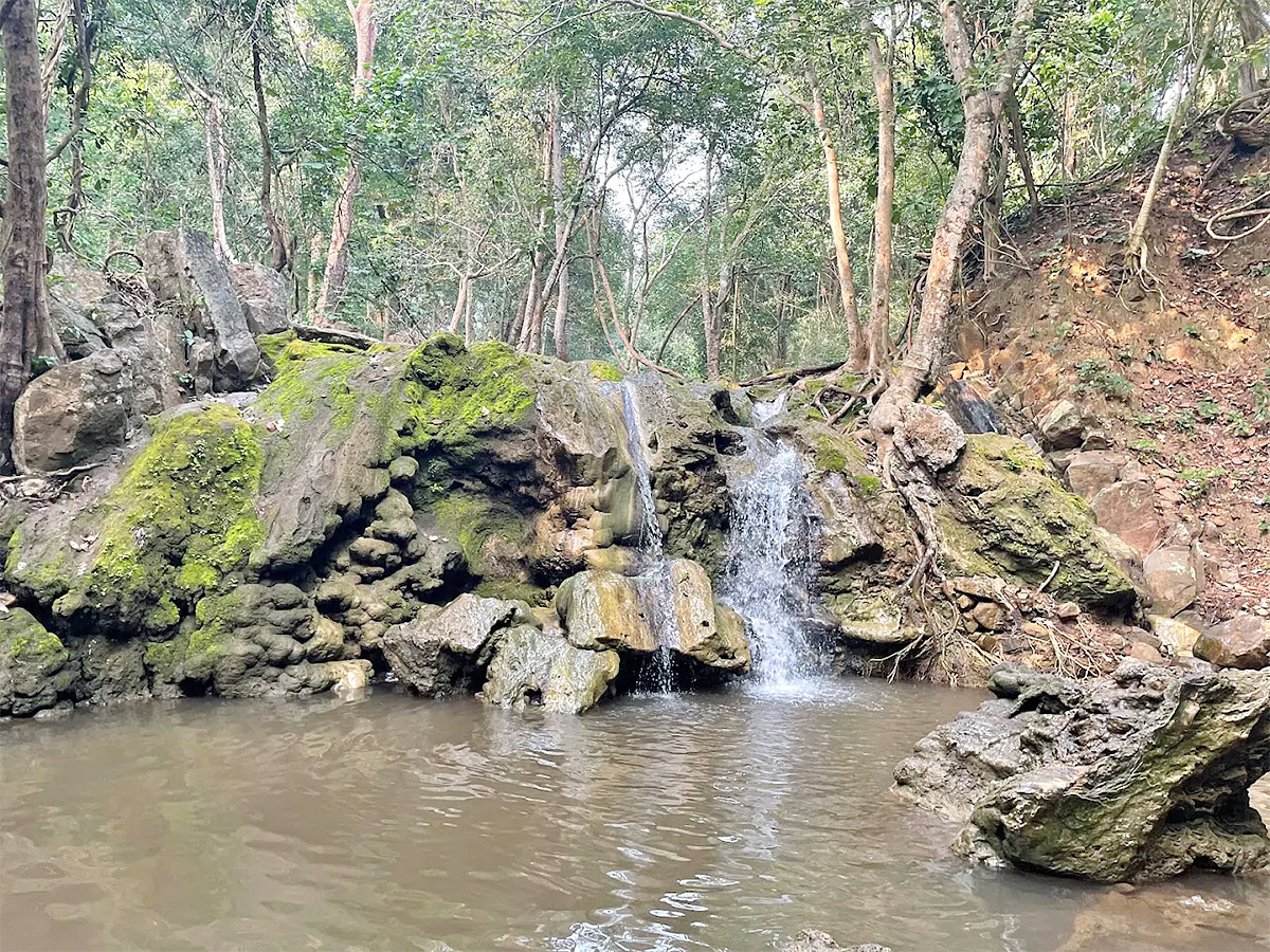 Gubbala_20Mangamma_20Thalli_20Temple_20West_20Godavari_20Andhra_20Pradesh__20_283_29.jpg 3