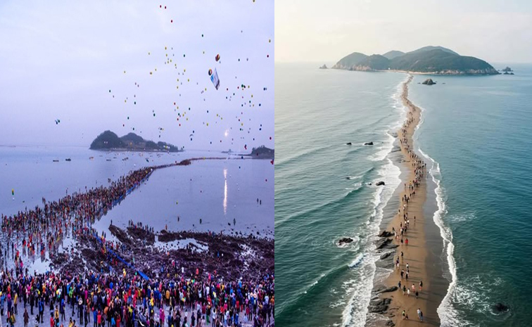 southkorea_20zindo.jpg