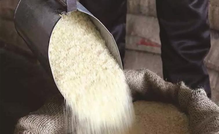 RICE.jpg