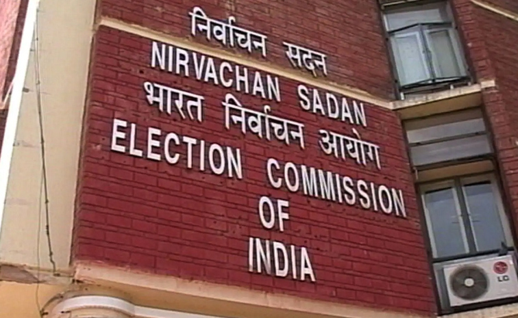 ec1.jpg