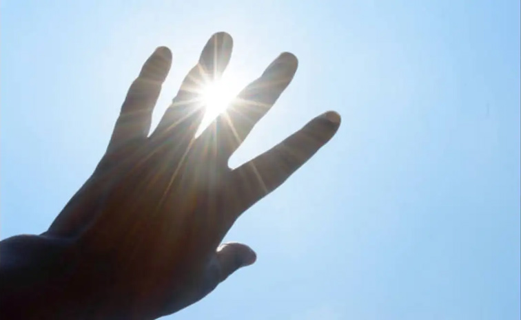 hand.jpg