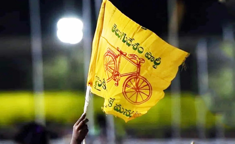 tdp_20flag.jpg