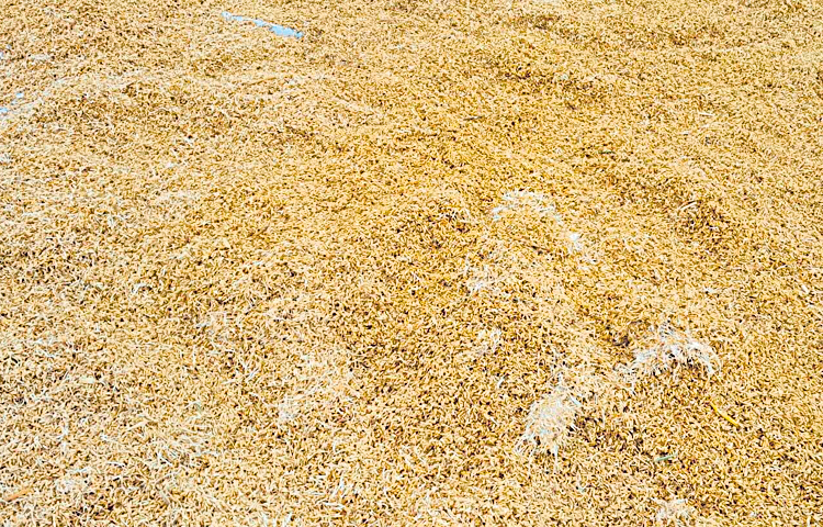 grain.jpg