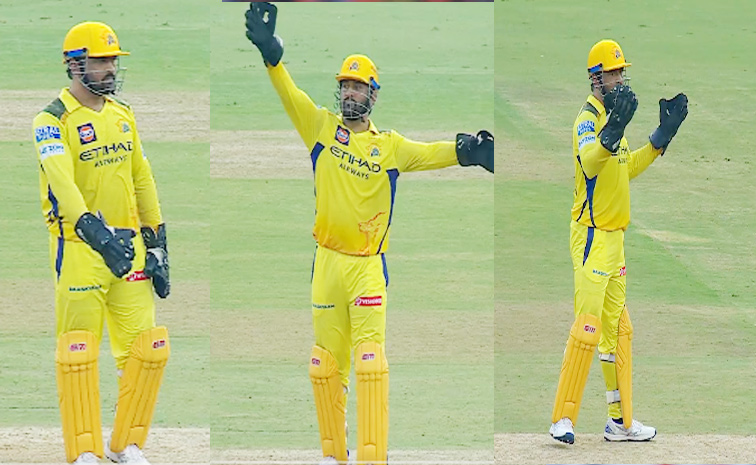 msd.jpg