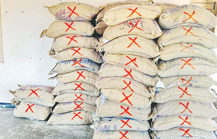 rice.jpg