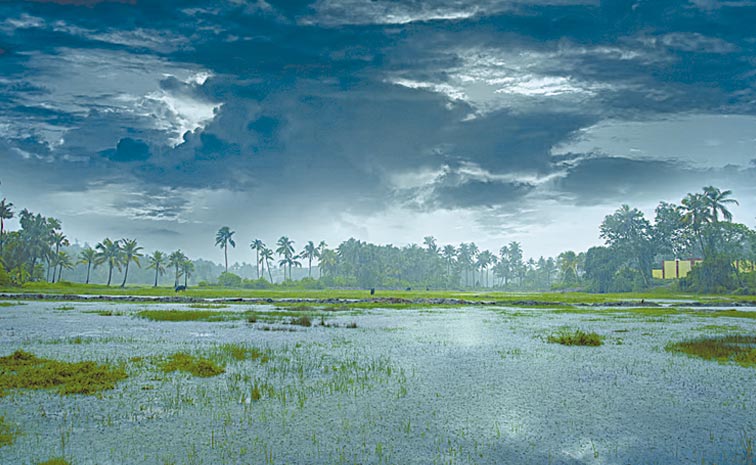 MANSOON-1_0.jpg