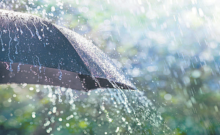 MONSOON-2.jpg