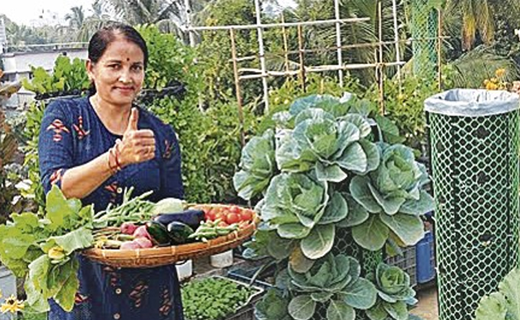terracegarden-newtrend.jpg
