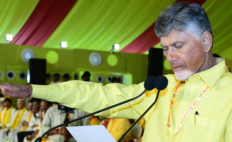 Chandrababu-Mahanadu.jpg