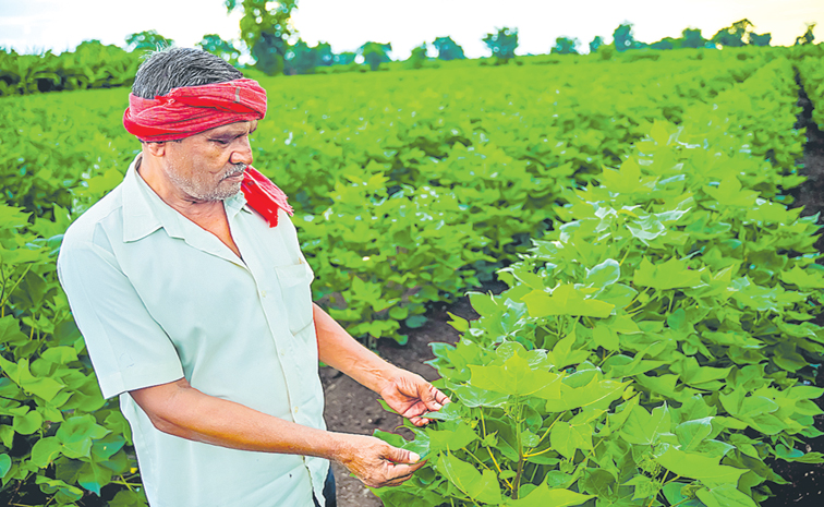 FARMER--1301128545.jpg