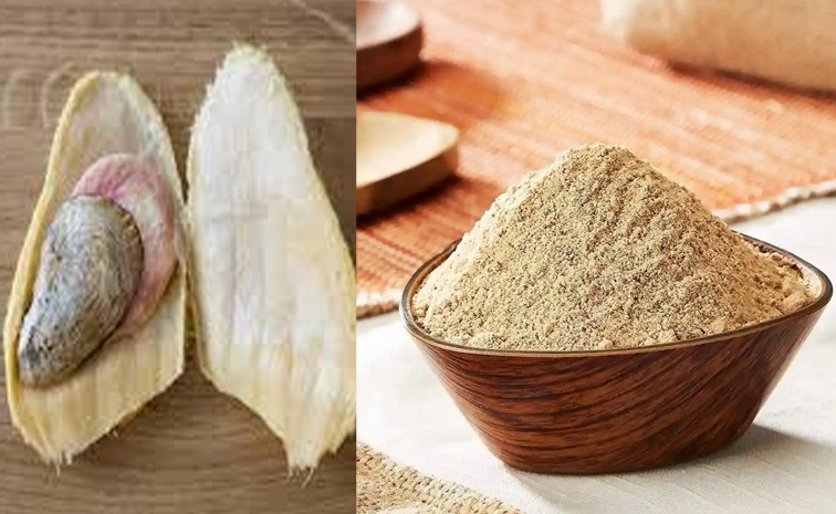 Mangoseedspowder.jpg