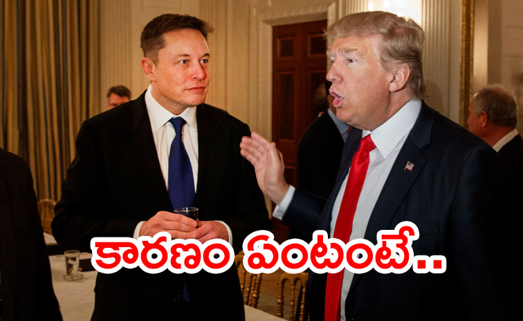 Reason-Behind-Elon-Musk.jpg